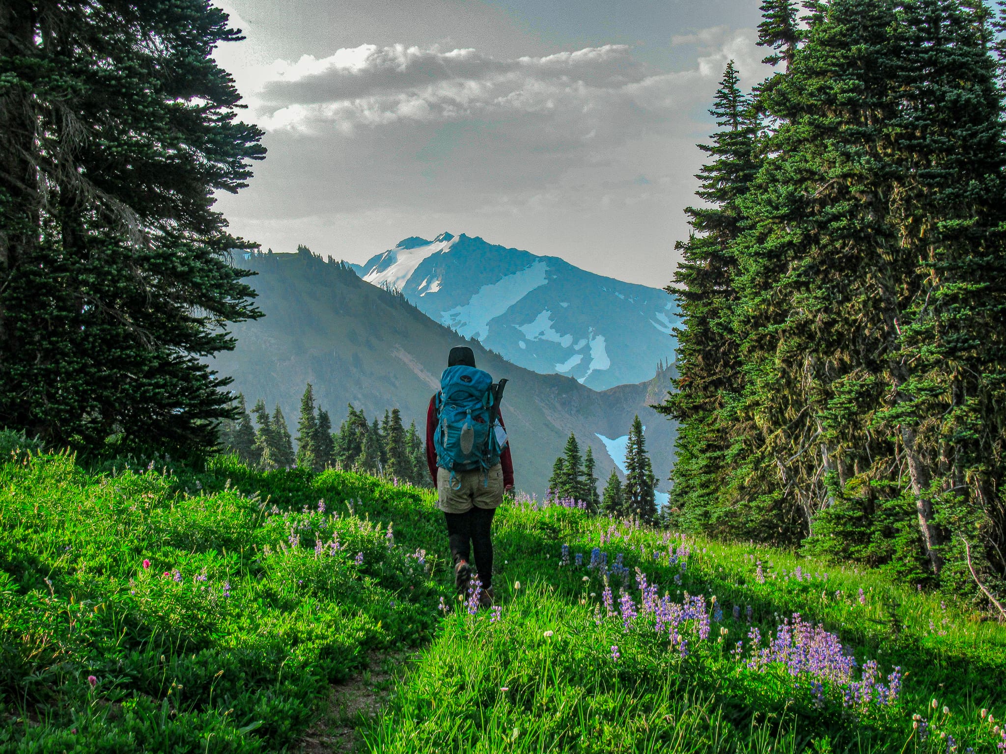 Guided Backpacking Tours in Olympic National Park