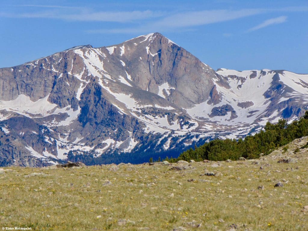Once you break through the treeline, the views to Wild Basin and Mt. Alice certainly leave an impression.