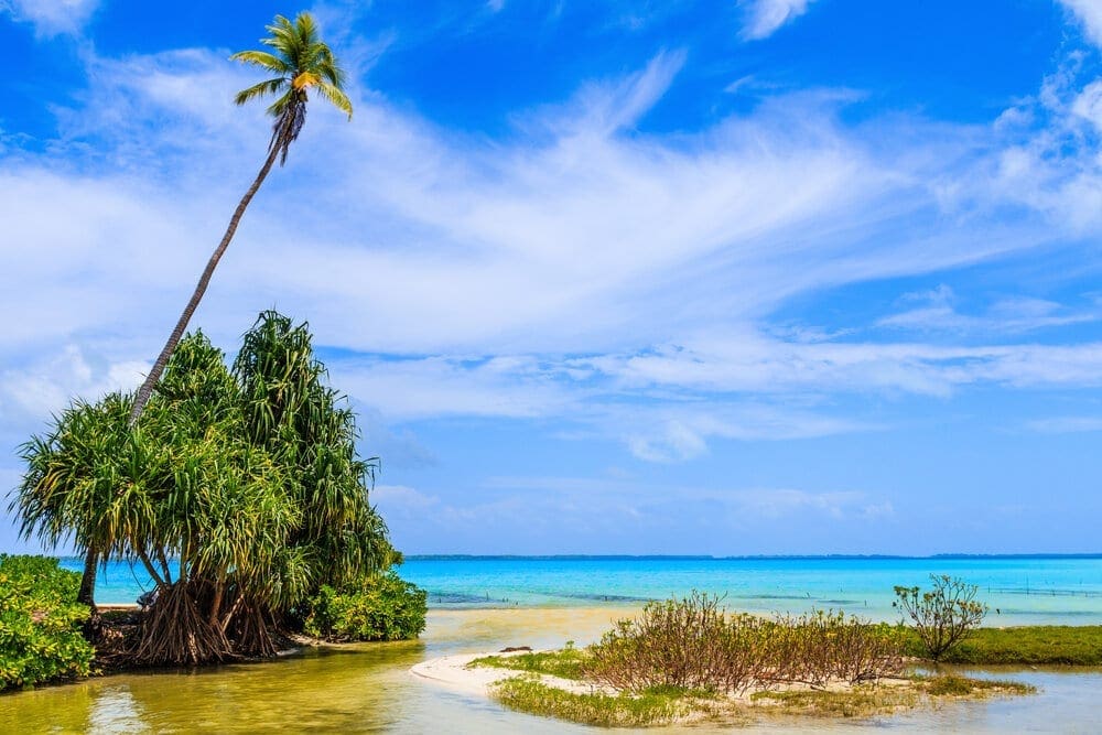 Tabuaeran, Fanning Island, Republic of Kiribati has some amazing palm trees and waves.