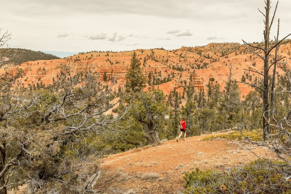 Trail runner near Moab, Utah
