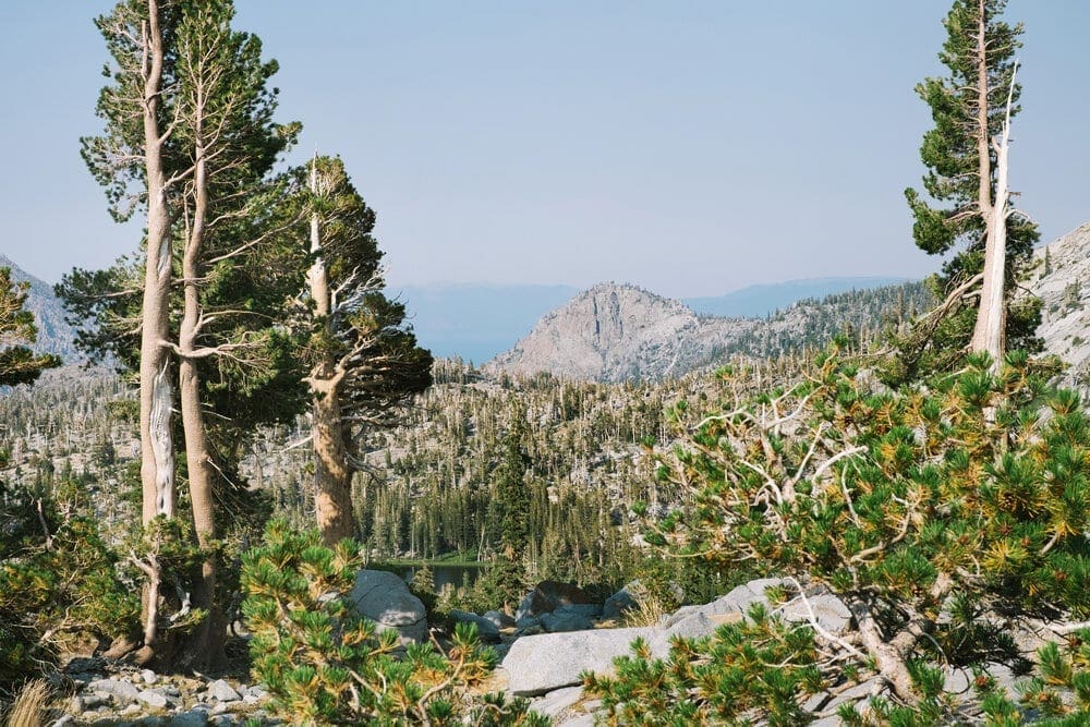 The Pacific Crest Trail has some awesome views for trail runners.