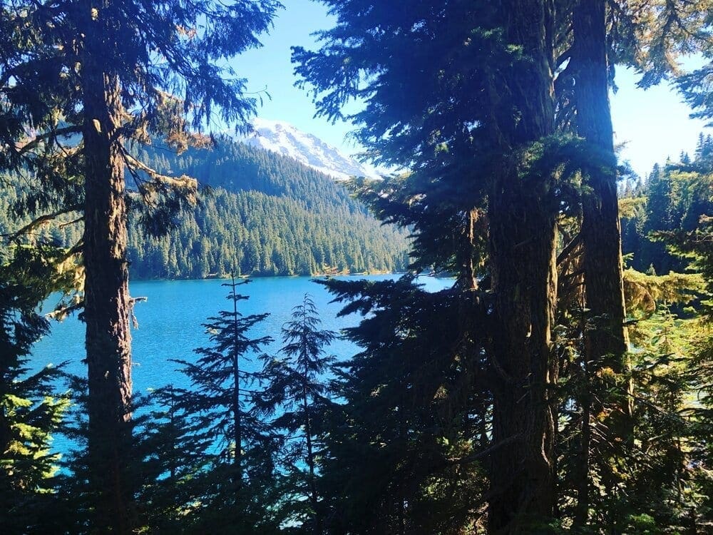 Views of Mount Raineer and Mowich Lake near the start of the Tolmie Peak Trail.