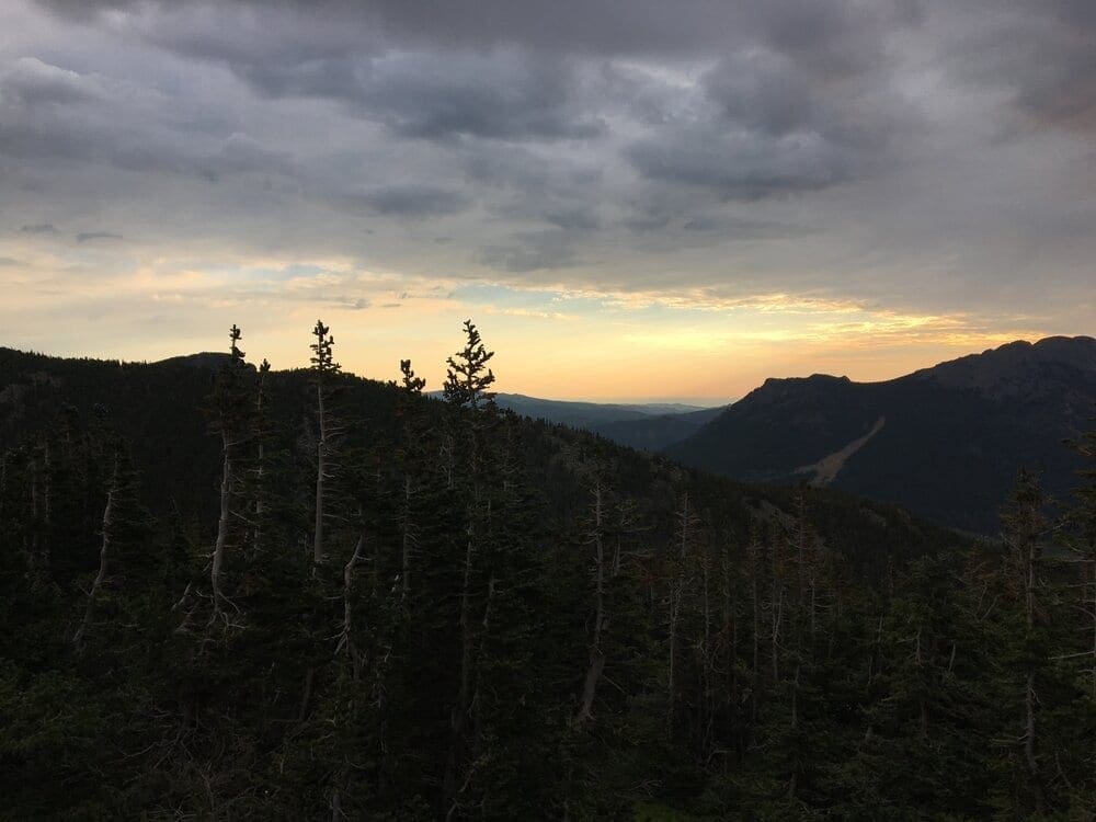 Looking east over the Goblins Forest at sunrise from the Longs Peak Trail.