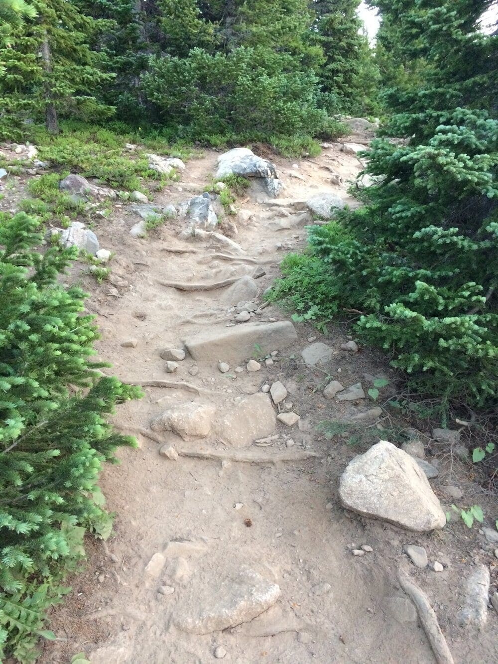 Photo 4. Around this area, the trail flattens out briefly and opens up, offering views east to Bald Mountain. Once you cross this flatter section, and cross a small wooden bridge, the summer trail begins an ascending traverse left (south) across a section of tiered wooden steps.
