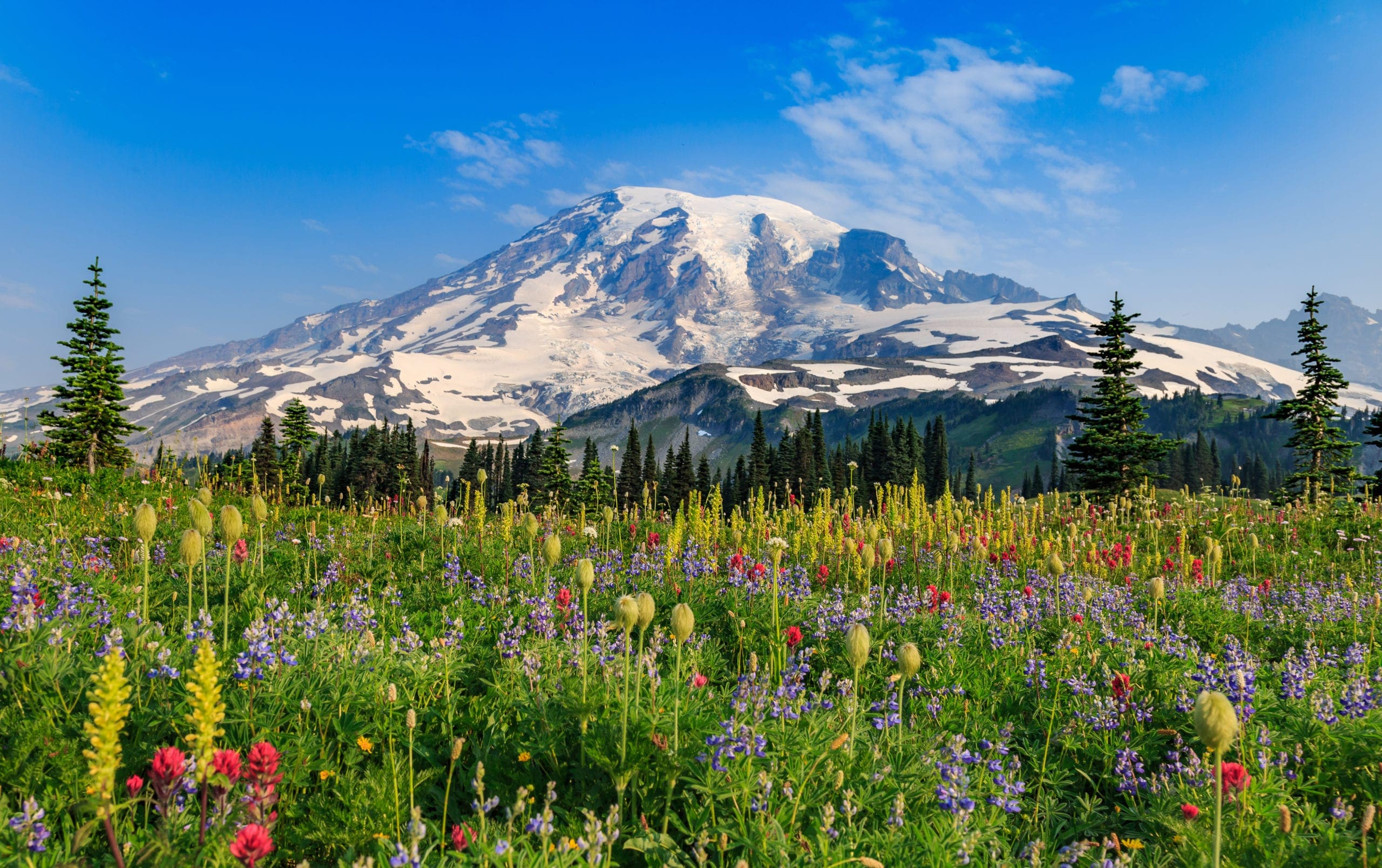 Adventurer's Guide To Mount Rainier National Park, Washington Skyblue