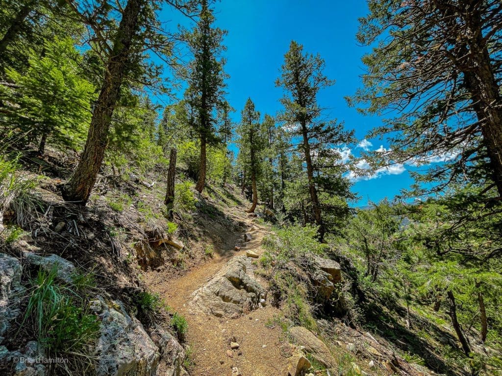 Photo 88/109: Back up to the higher points of Eldorado Canyon Trail.