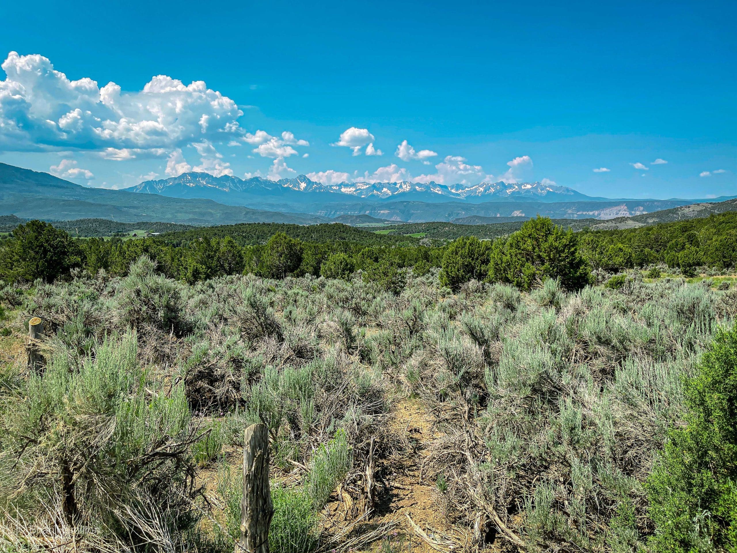 Southwestern Colorado Road Trip Report