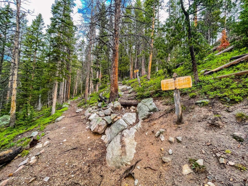 Trail junction with Lion Lakes. Stay left for Thunder Lake.