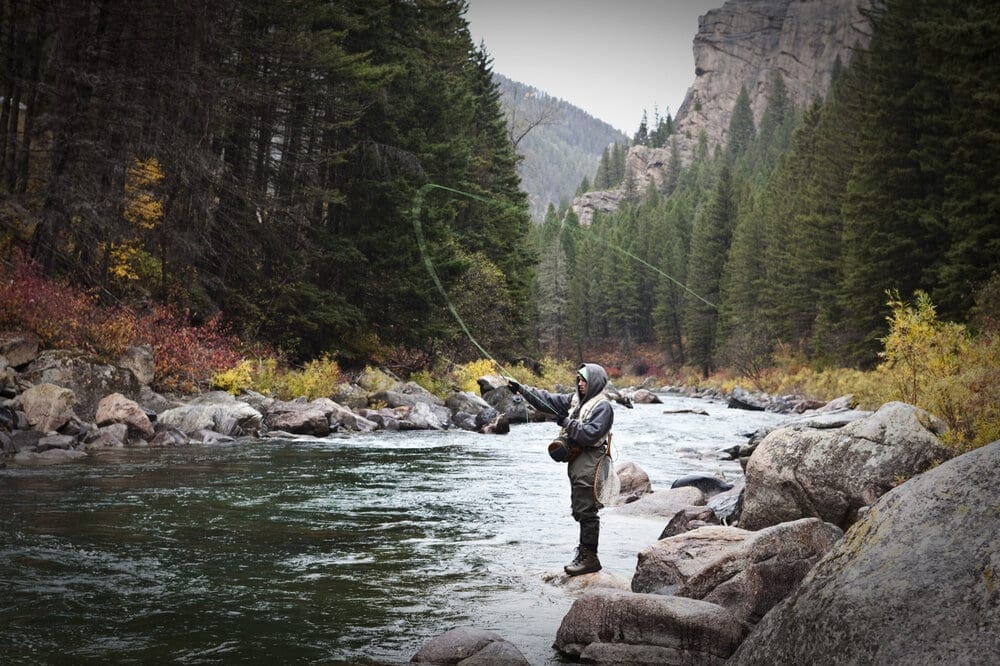A man fly fishing stands on the banks of the Gallatin River surrounded with the fall colors near Bozeman, Montana.