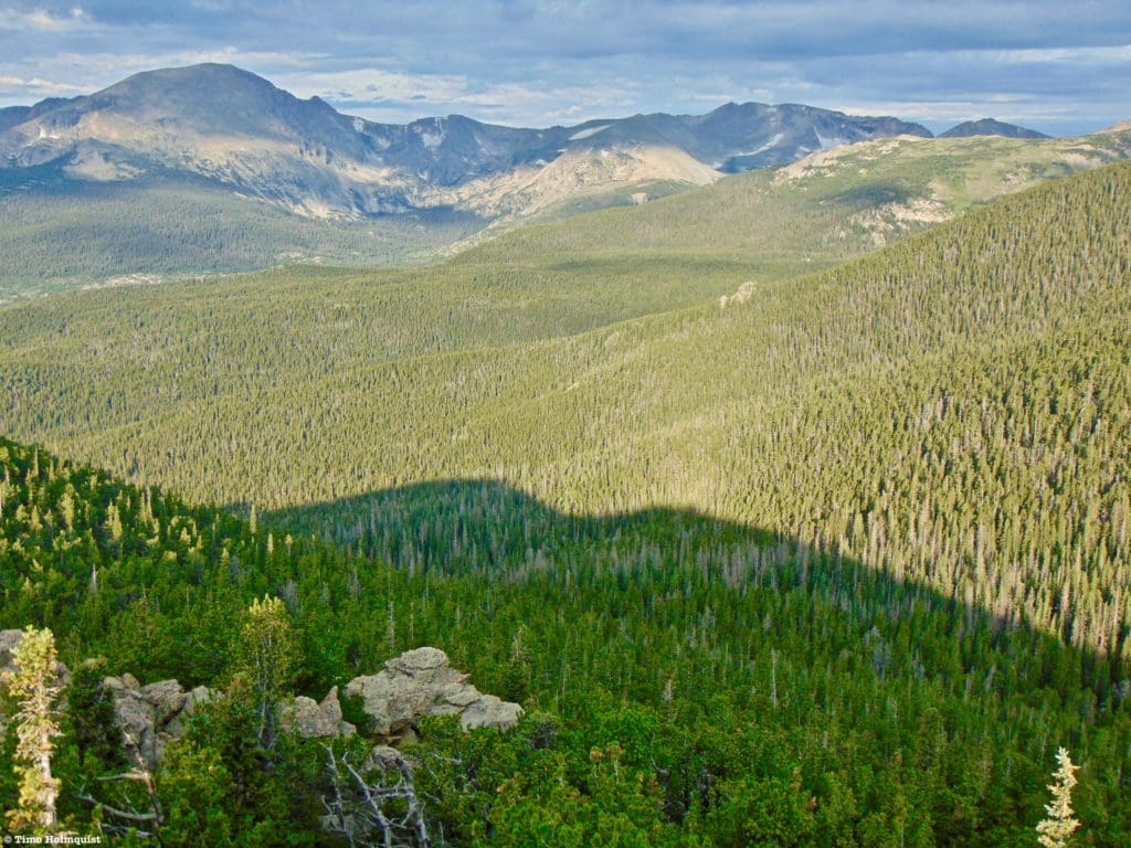Looking into Wild Basin from the summit of Lookout Mountain.